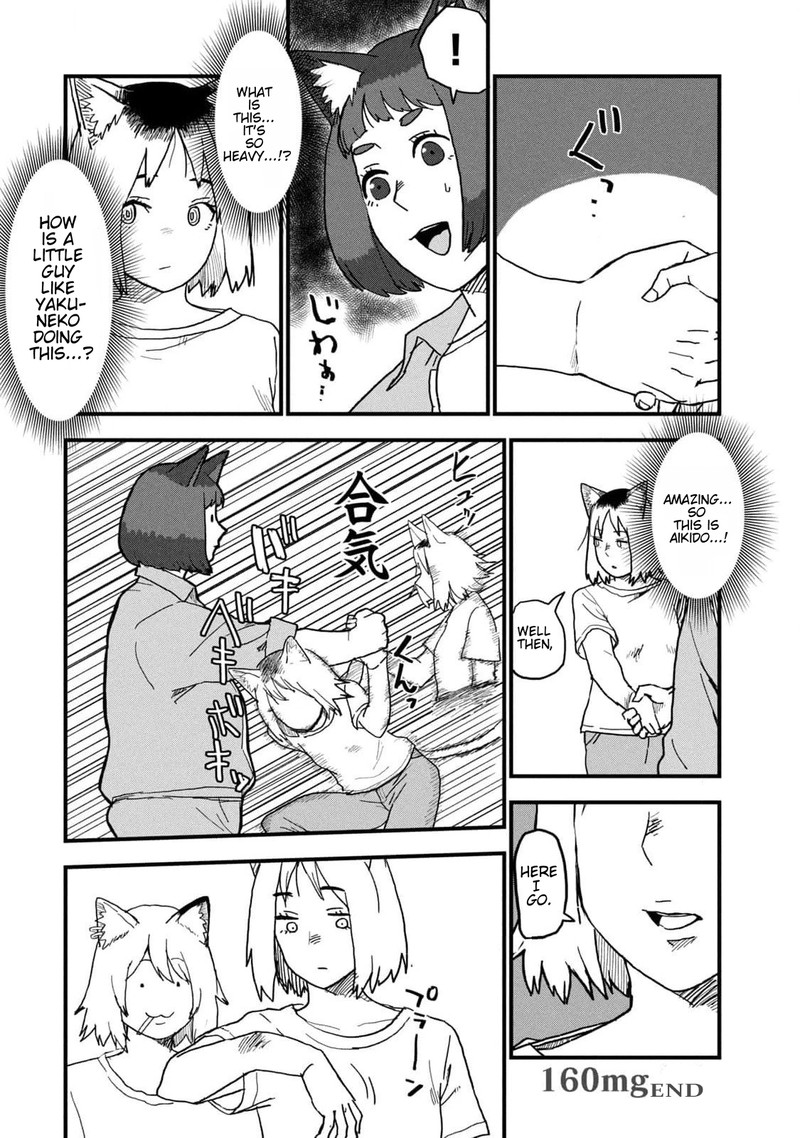 Yani Neko 160 4