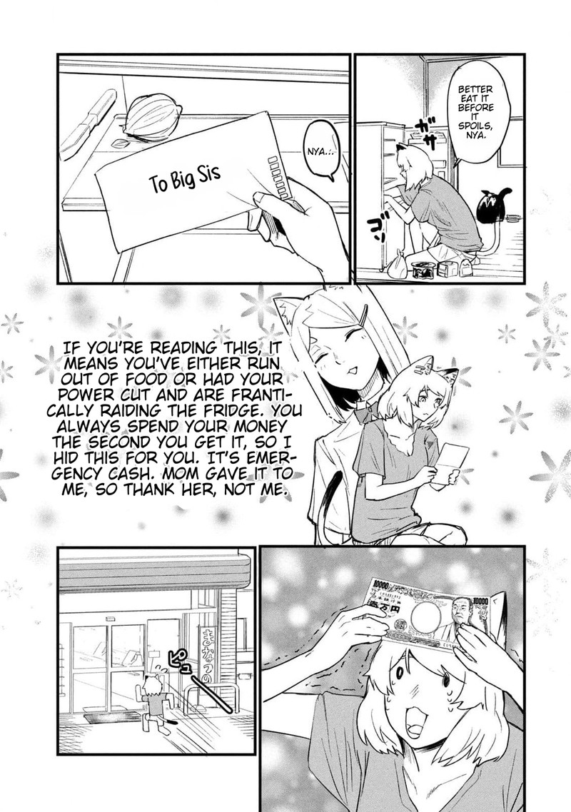 Yani Neko 185 3