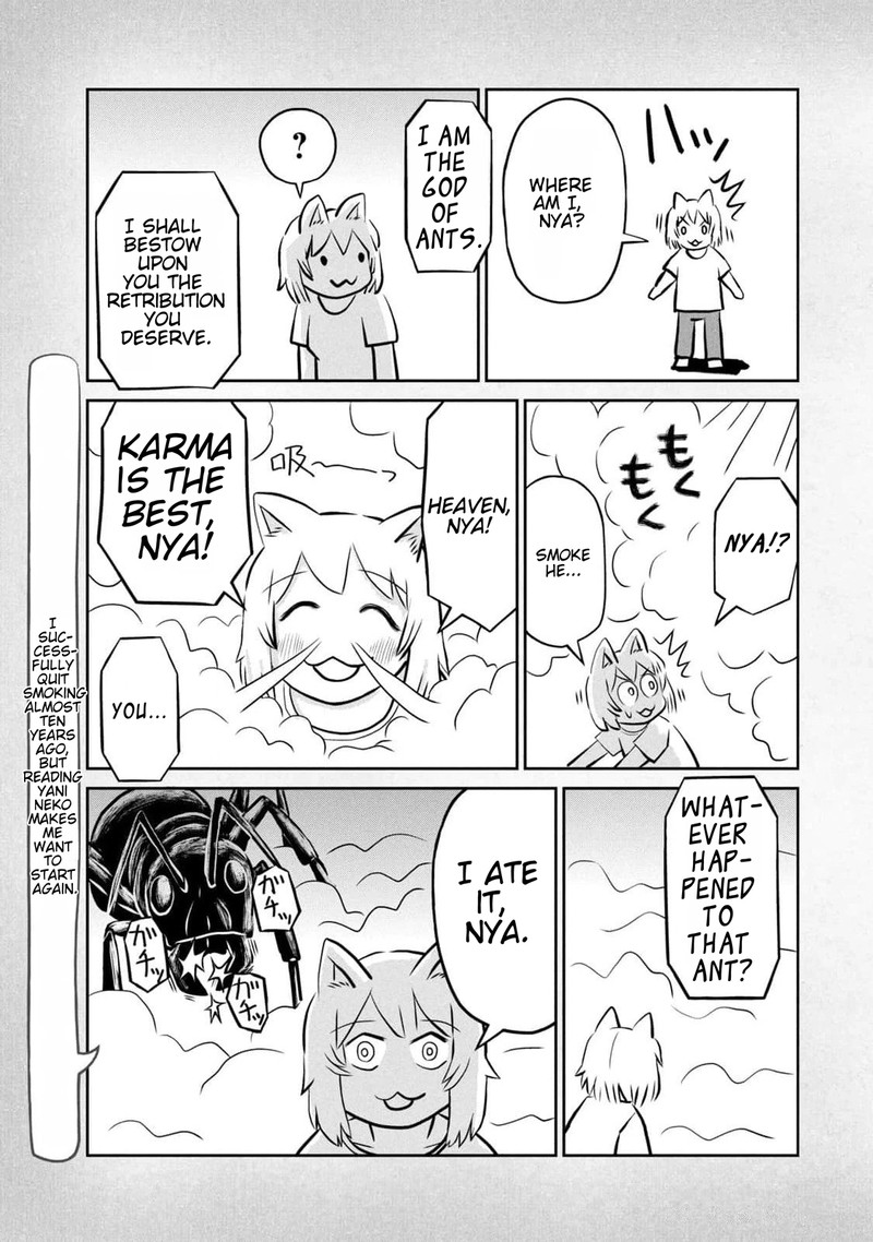 Yani Neko 187a 5