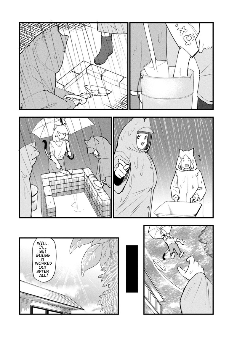 Yani Neko 206 6