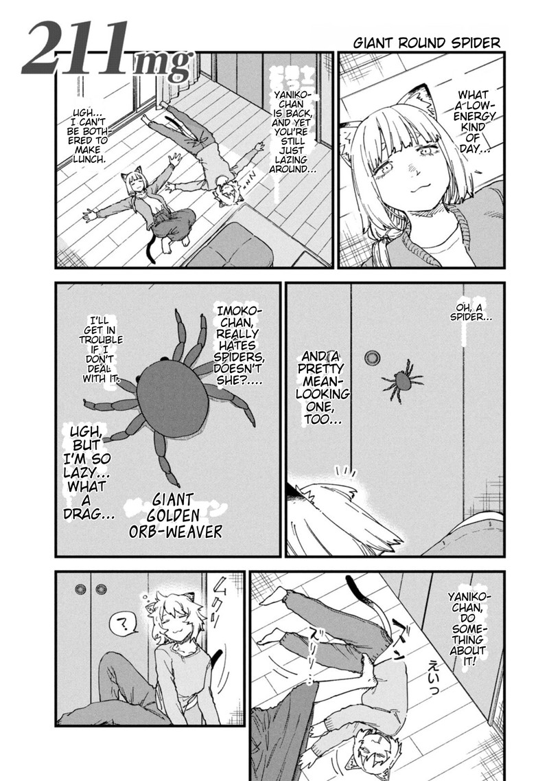 Yani Neko 211 1