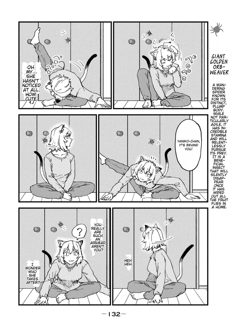 Yani Neko 211 2