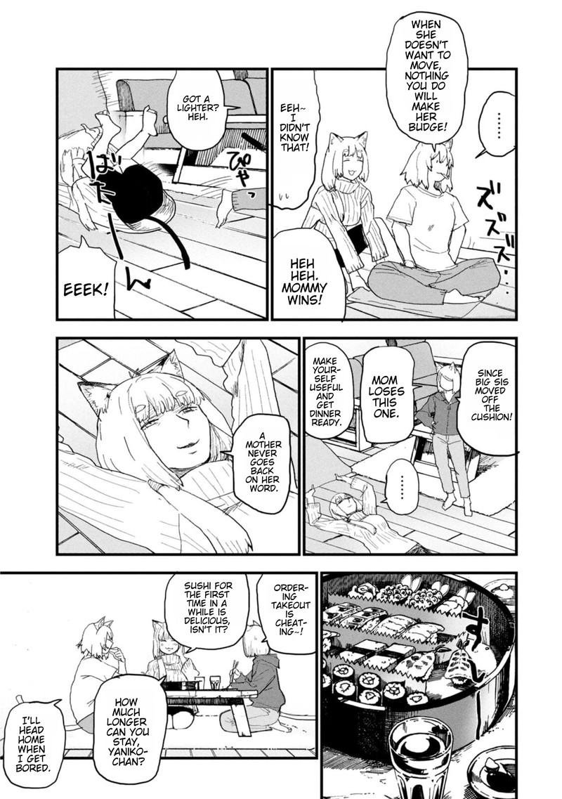 Yani Neko 212 3