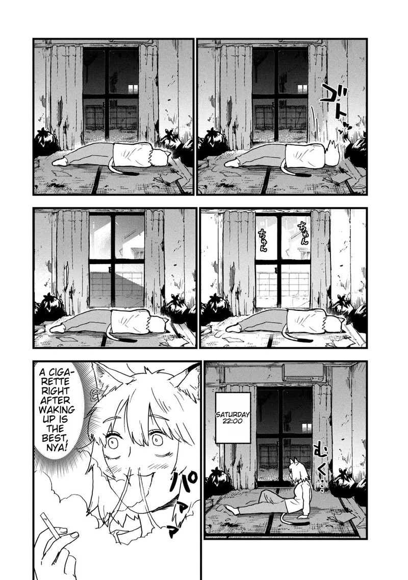 Yani Neko 221 2