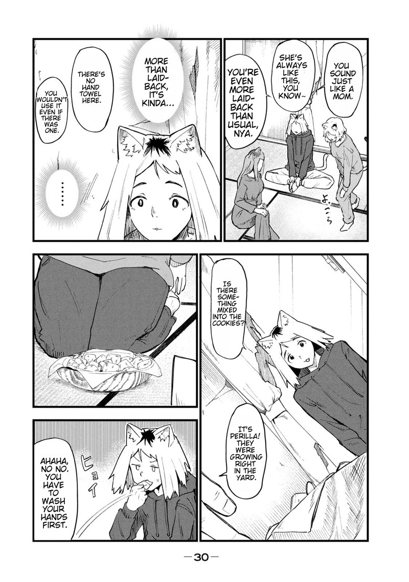 Yani Neko 224 2