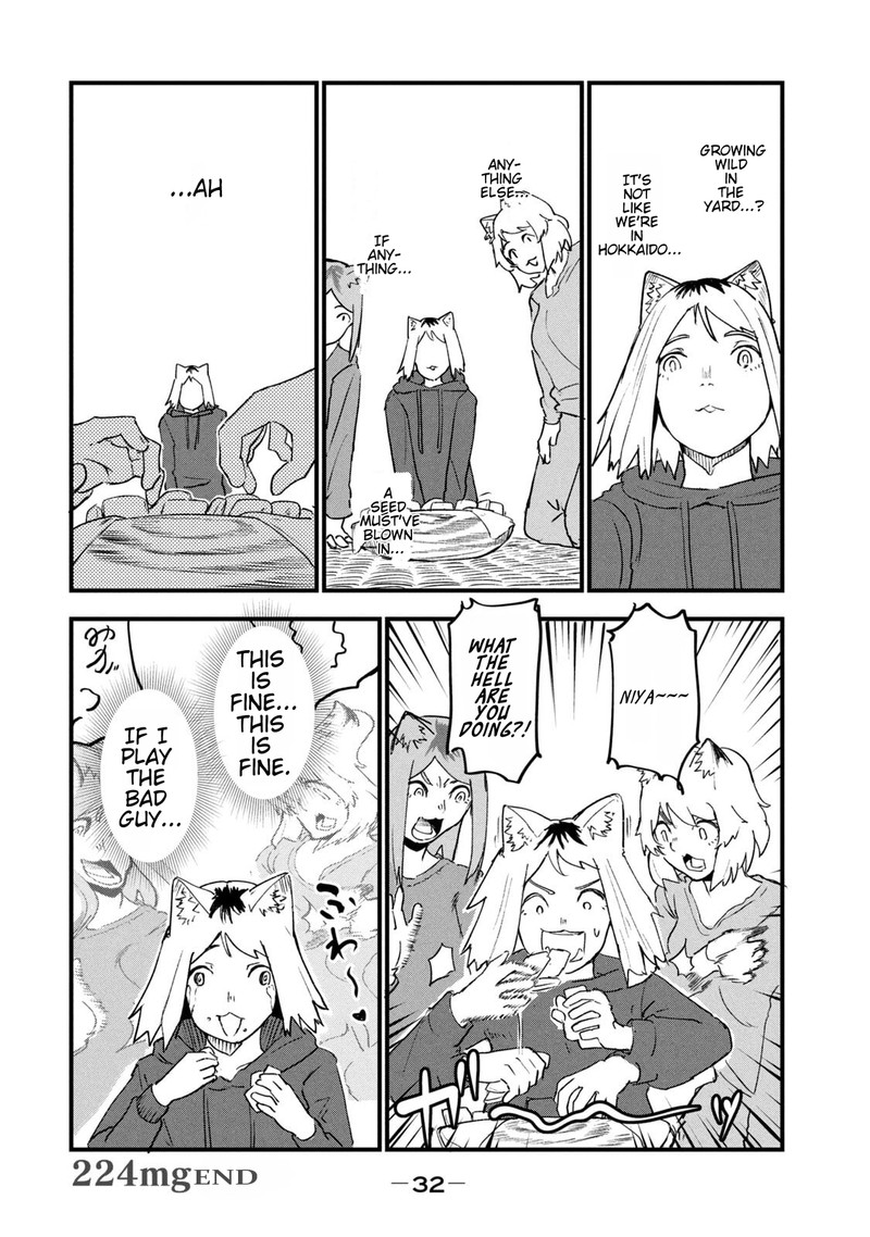 Yani Neko 224 4