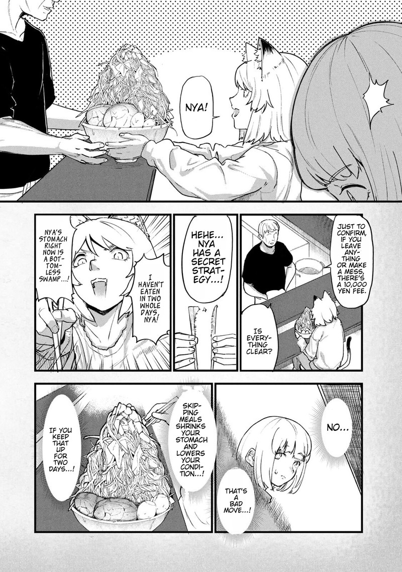 Yani Neko 244a 3