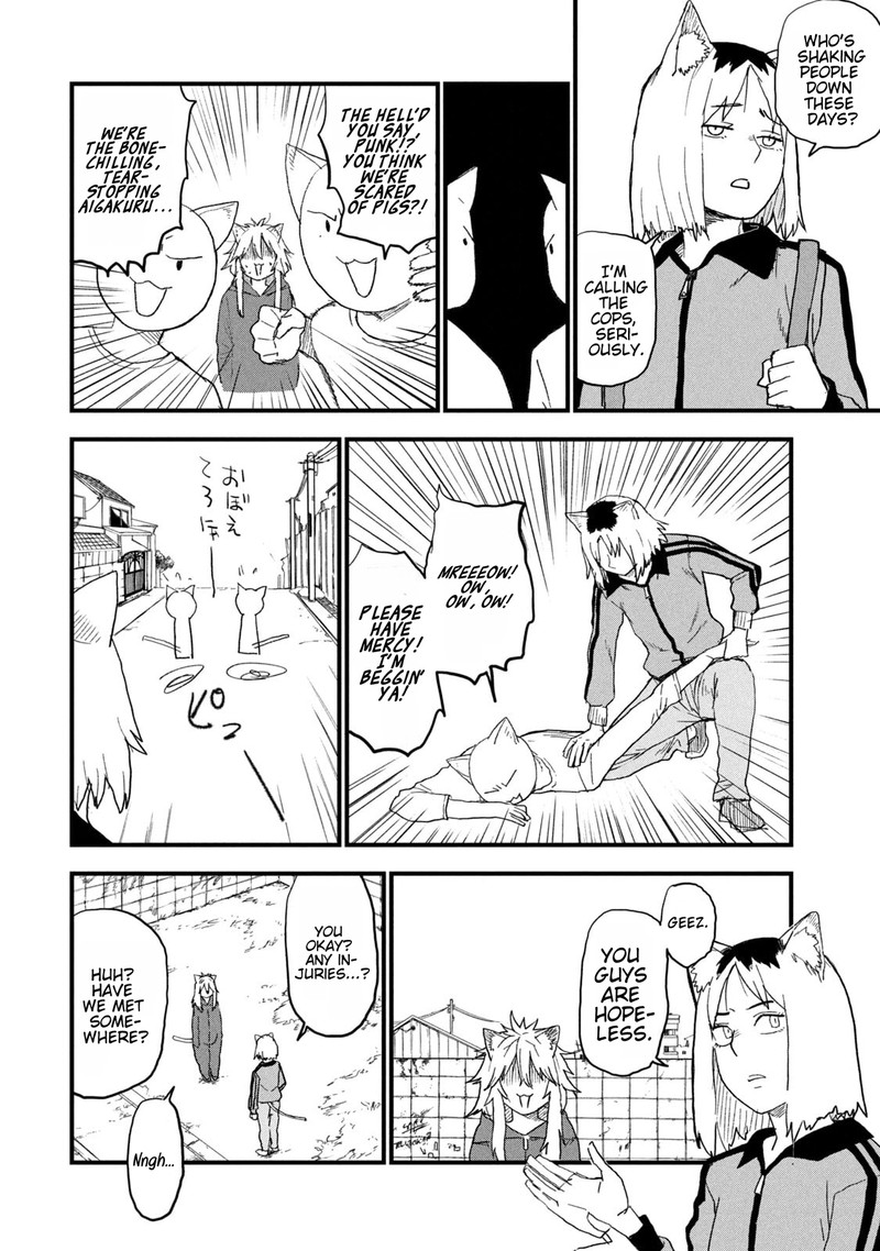 Yani Neko 245 4