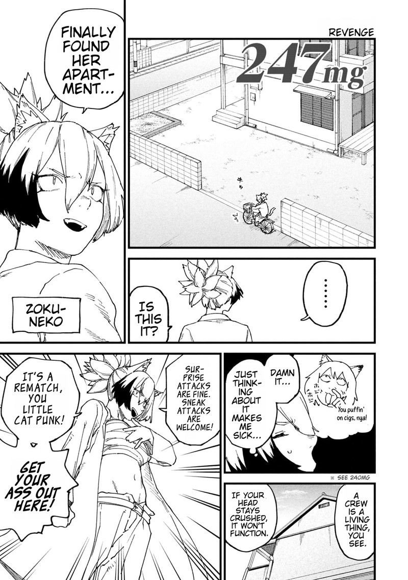 Yani Neko 247 1