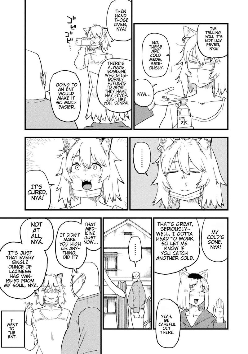 Yani Neko 254 3