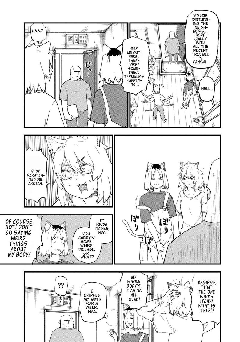 Yani Neko 263 3