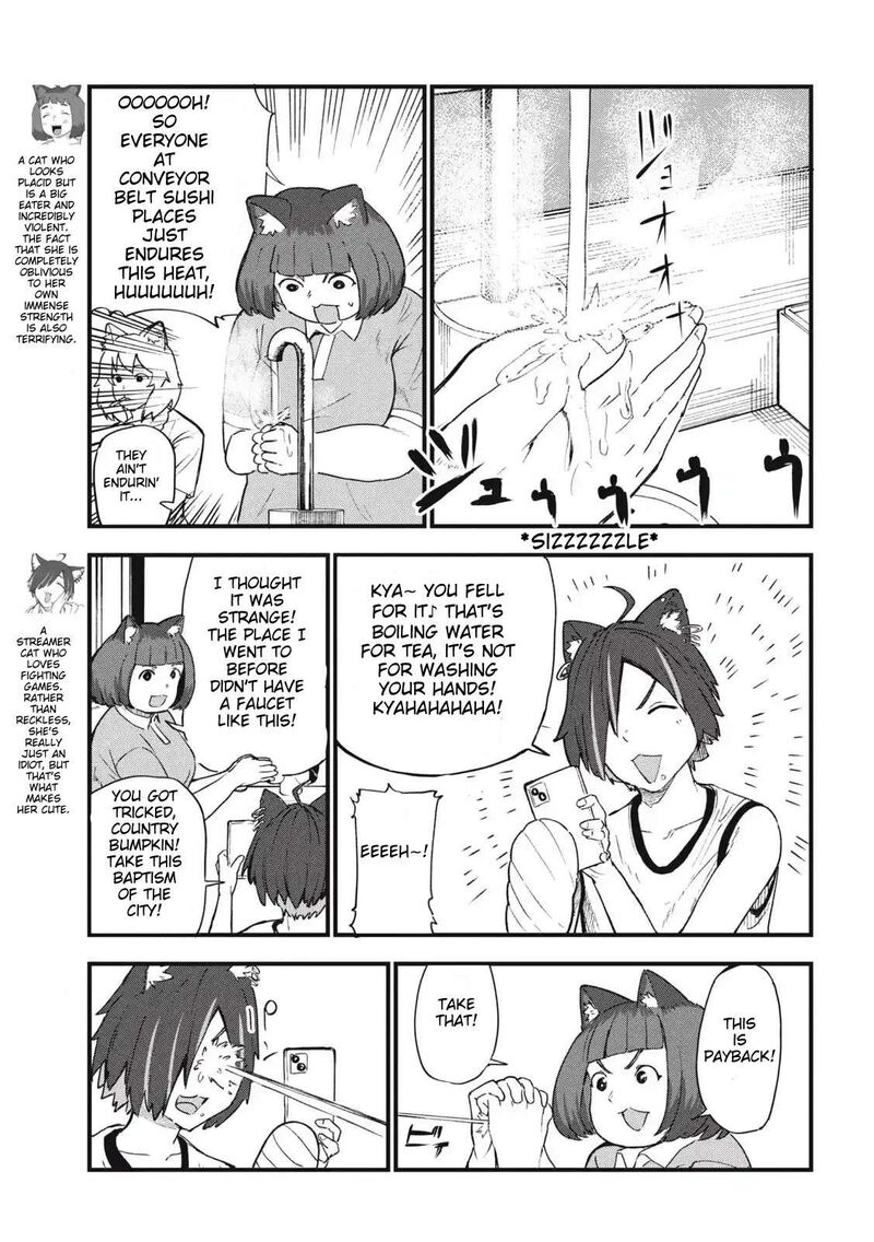 Yani Neko 273 3