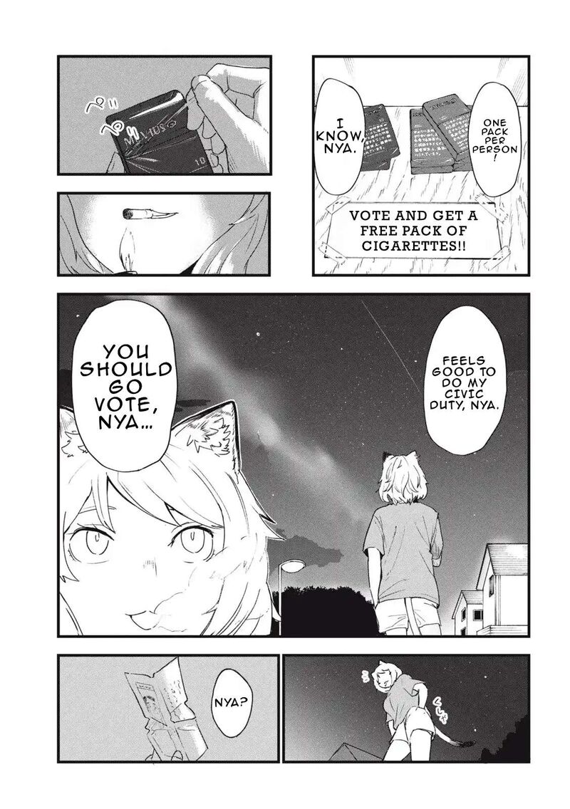 Yani Neko 286 3