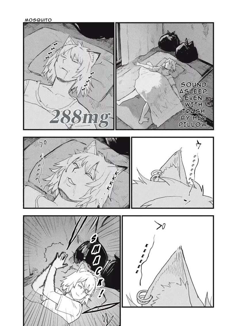 Yani Neko 288 1