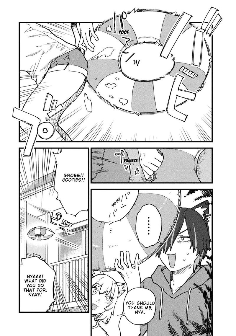 Yani Neko 296 2