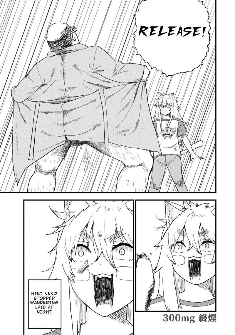 Yani Neko 300 5