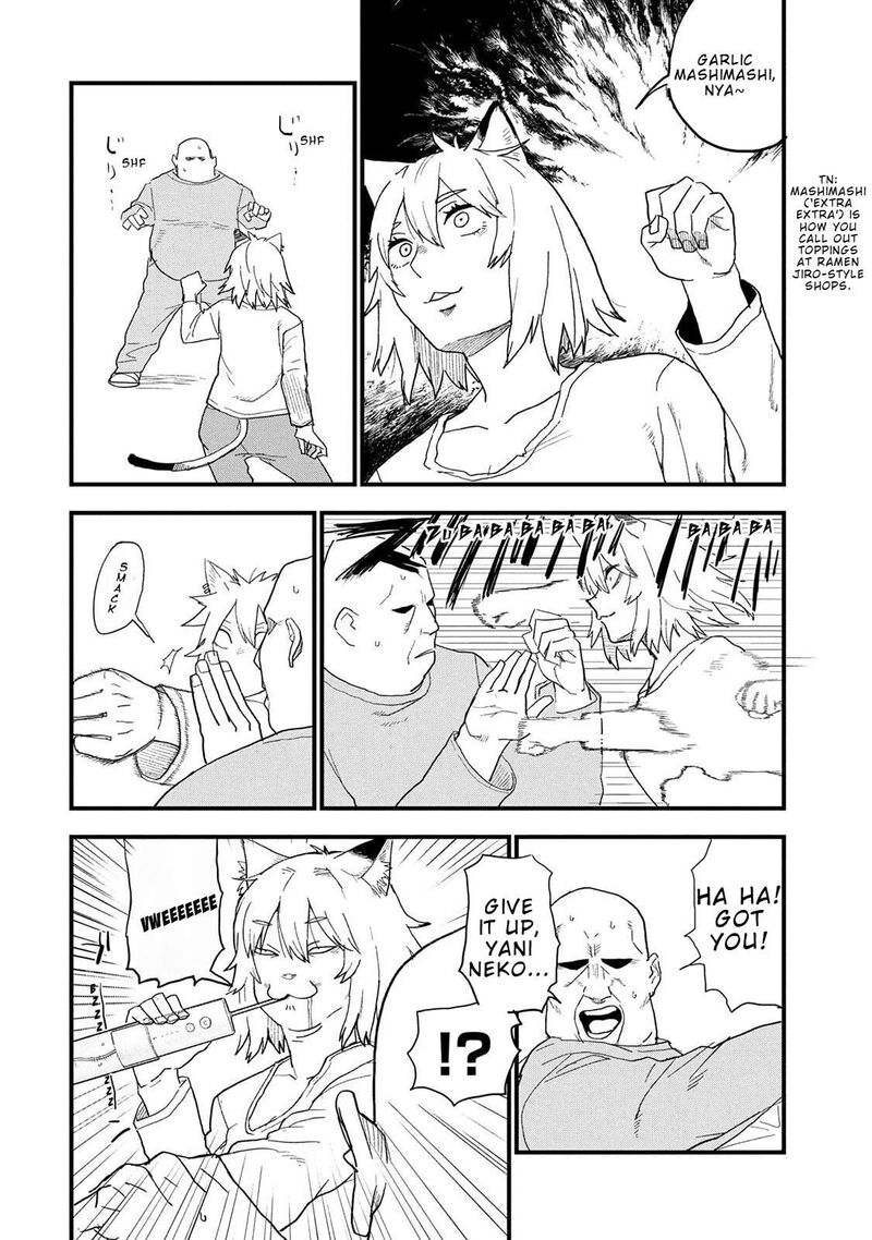 Yani Neko 335 4