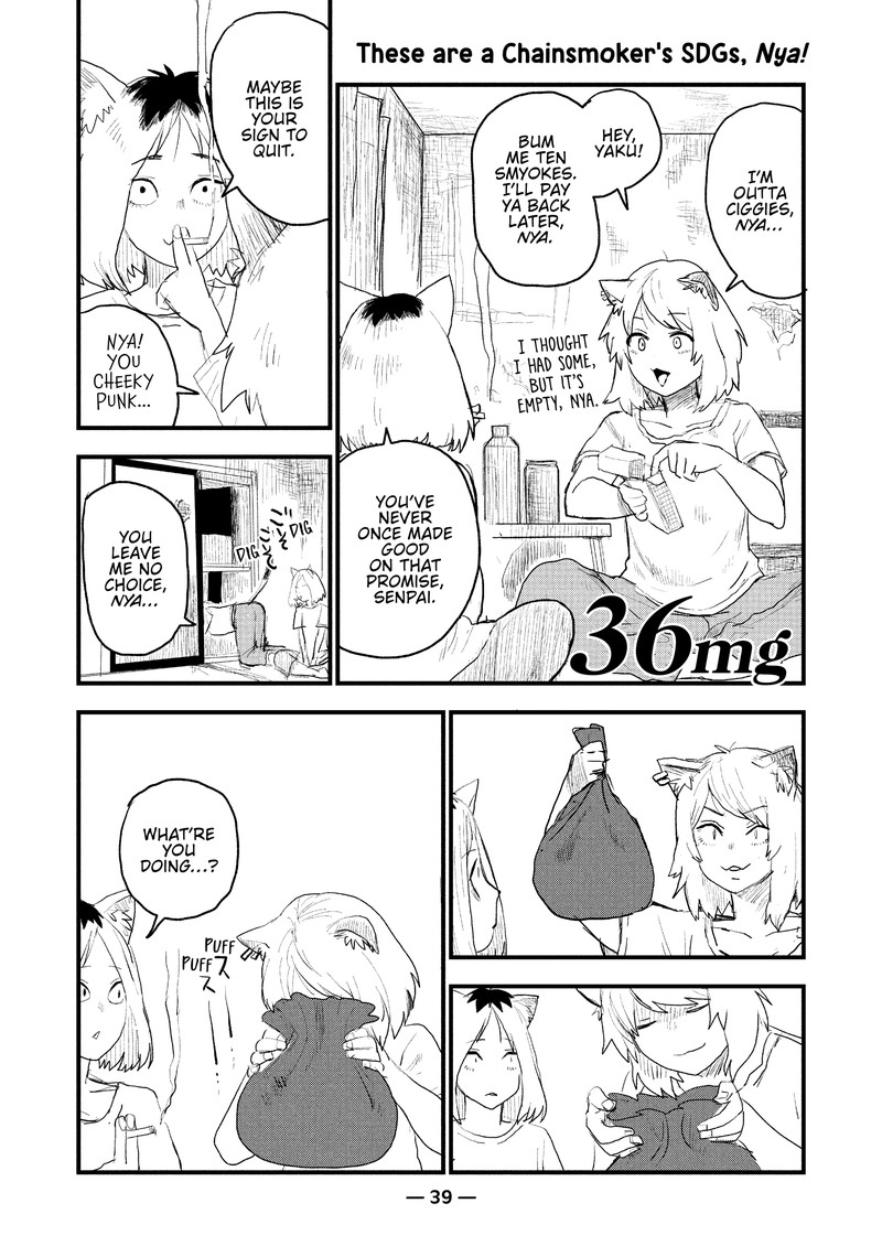 Yani Neko 36 1