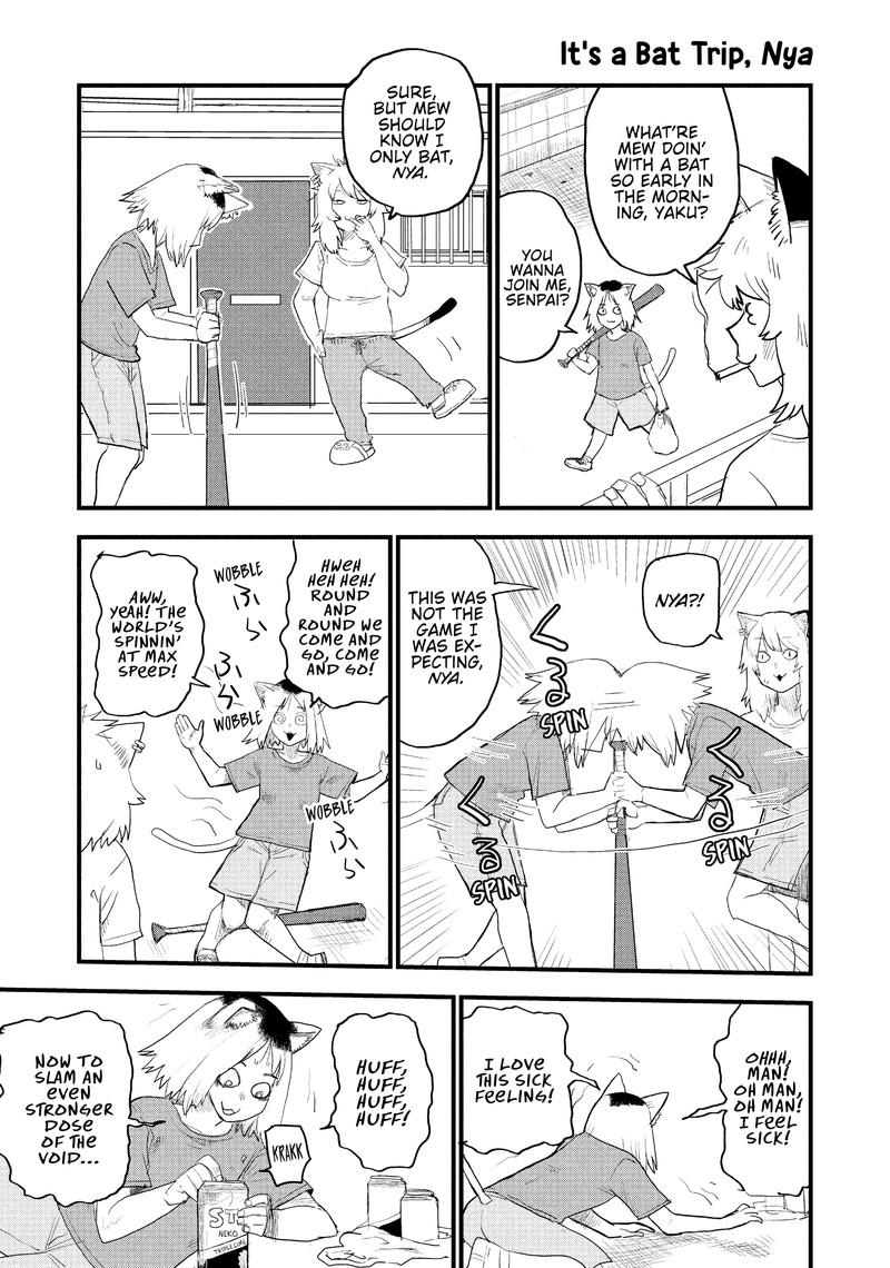 Yani Neko 41 5