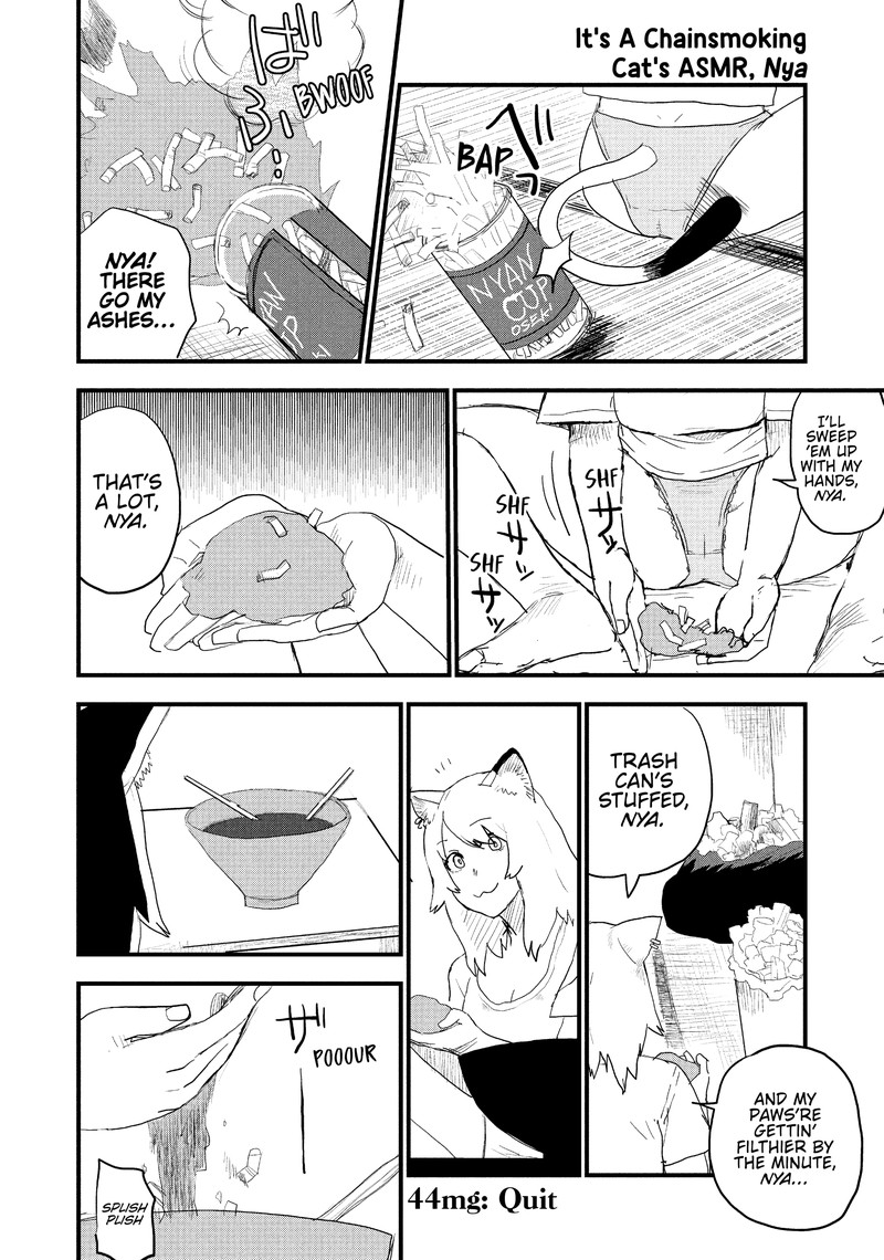 Yani Neko 44 4