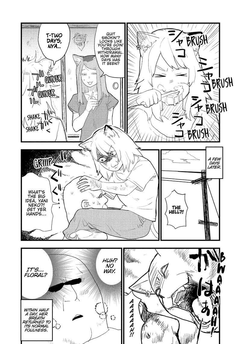 Yani Neko 55 2