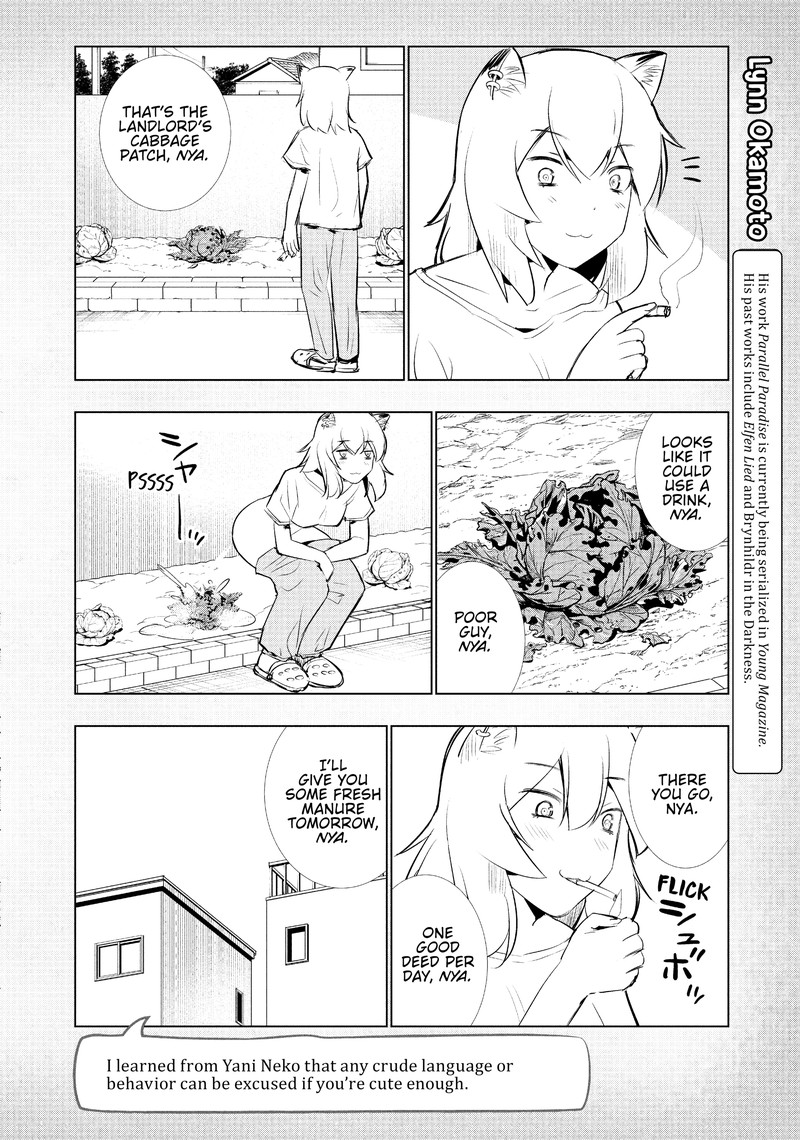 Yani Neko 58 18