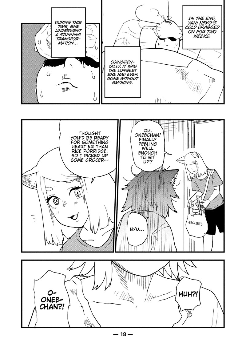 Yani Neko 62 2