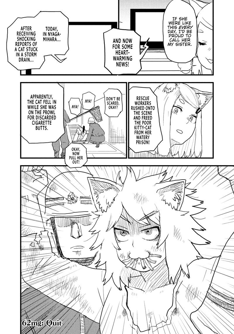Yani Neko 62 4