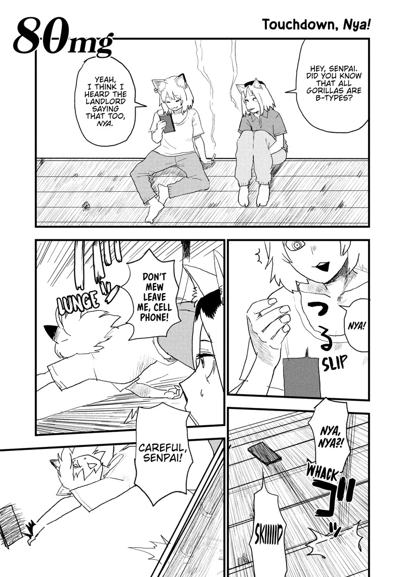 Yani Neko 80 1