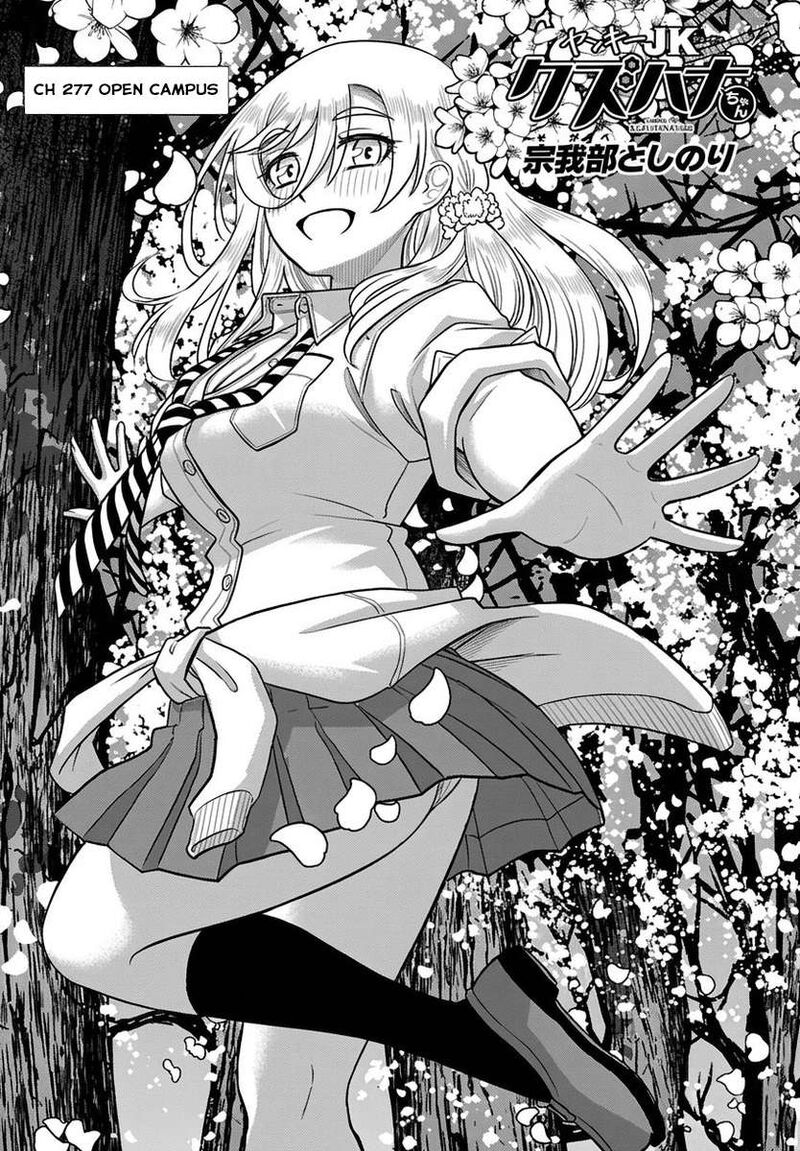 Yankee Jk Kuzuhana Chan 277 1