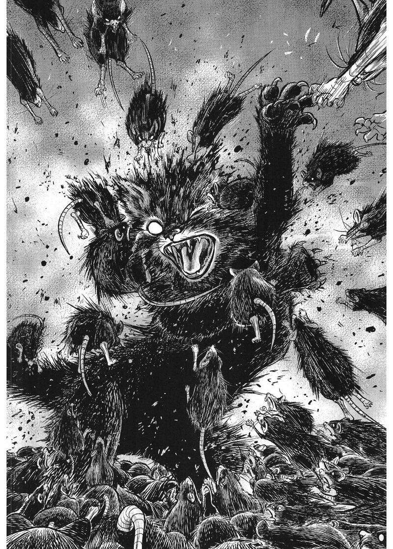 Yongbi Bulpae Oejeon 79 8