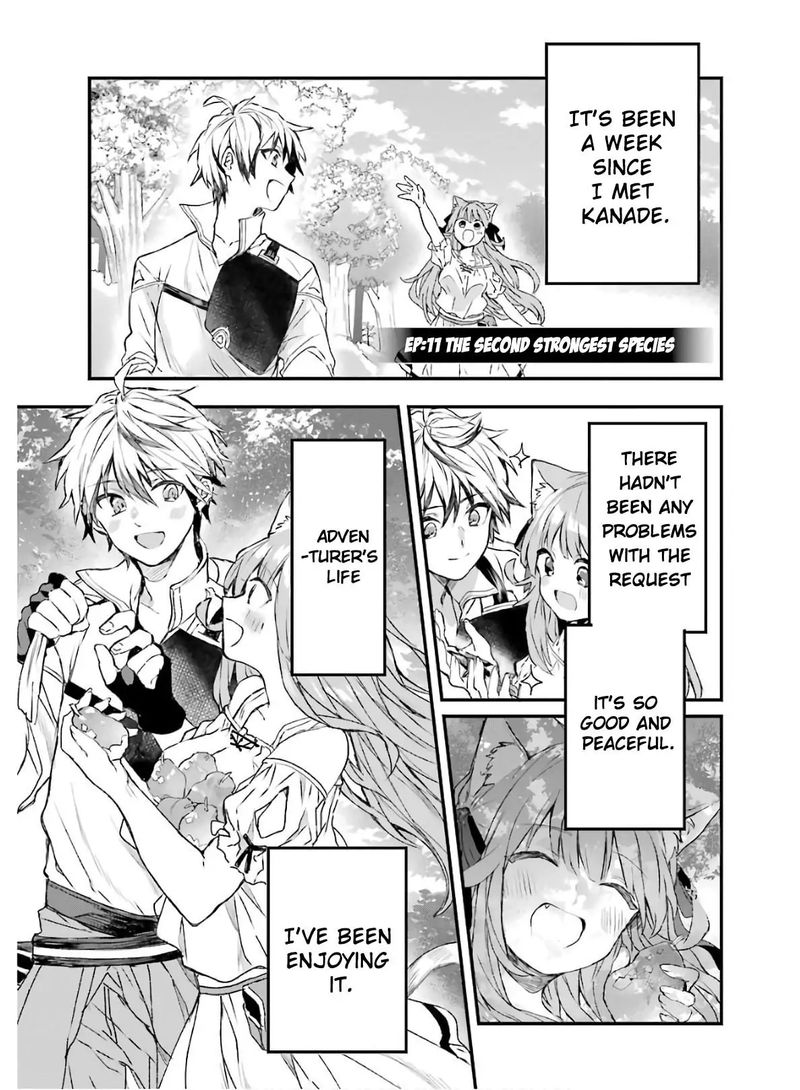 Yuusha Party O Tsuihou Sareta Beast Tamer Saikyou Shuzoku Nekomimi Shoujo To Deau 11 1