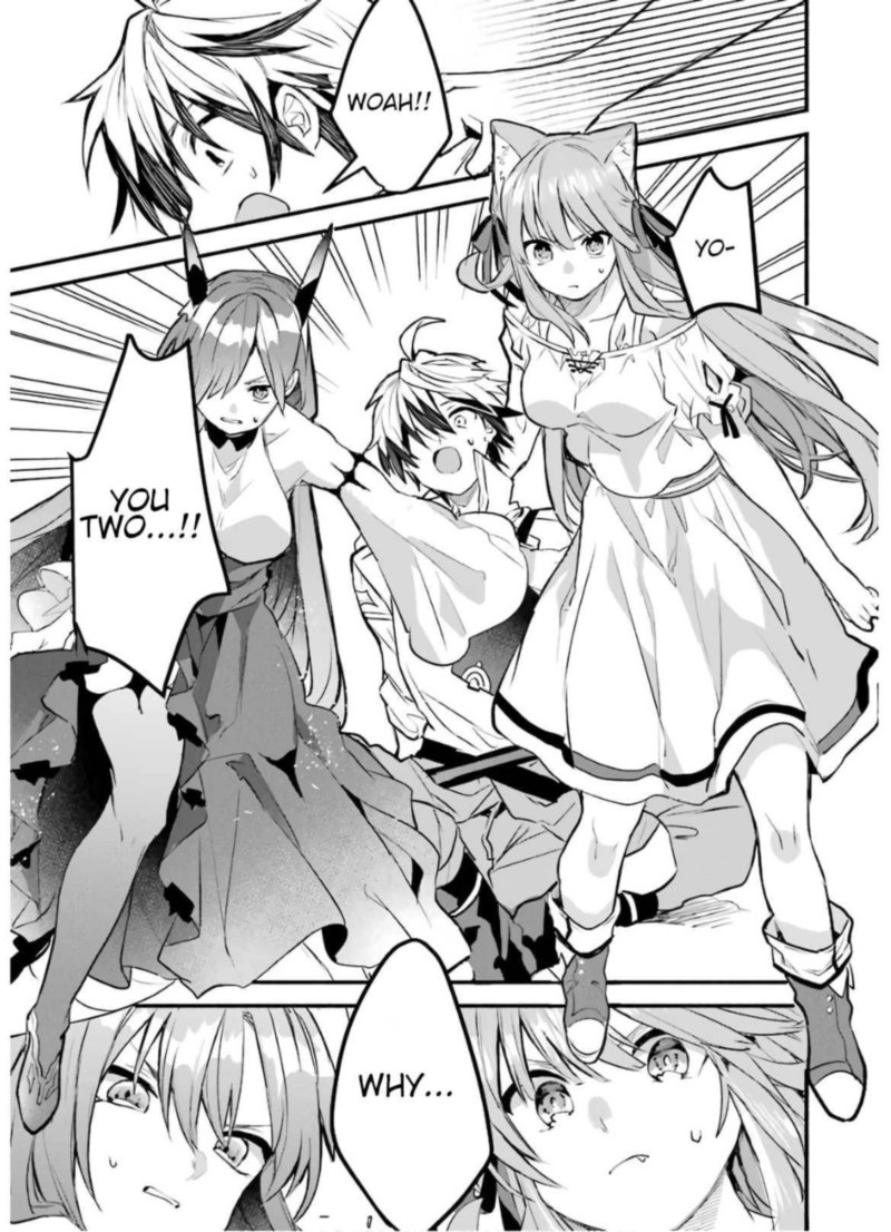 Yuusha Party O Tsuihou Sareta Beast Tamer Saikyou Shuzoku Nekomimi Shoujo To Deau 27 17