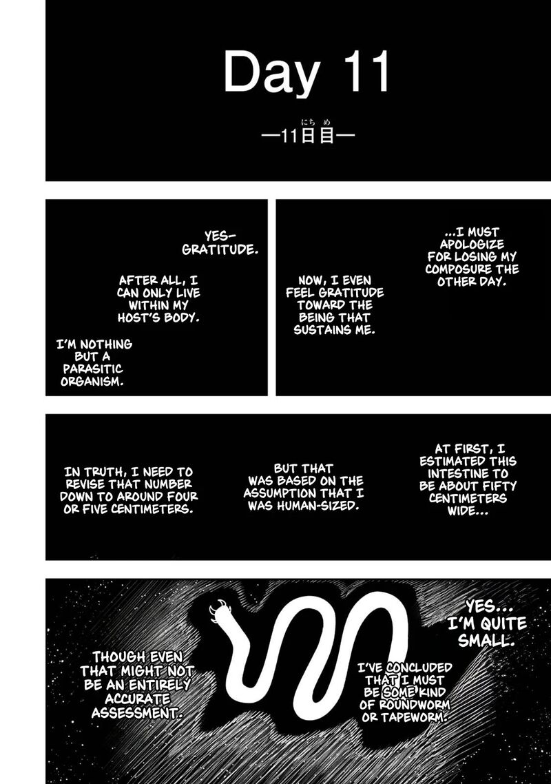 Zettai Shinanai Stella Hime 1b 10