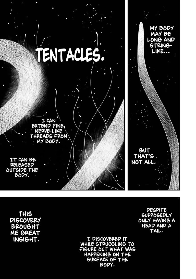 Zettai Shinanai Stella Hime 1b 11